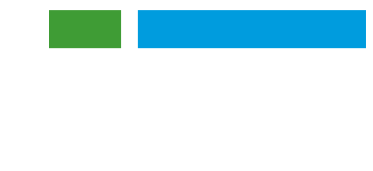 RSM Logo