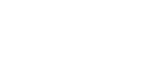 NeoSystems Logo